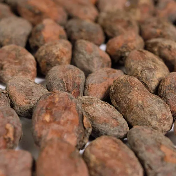 Choroni Fino Cocoa