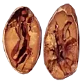 choroni seed