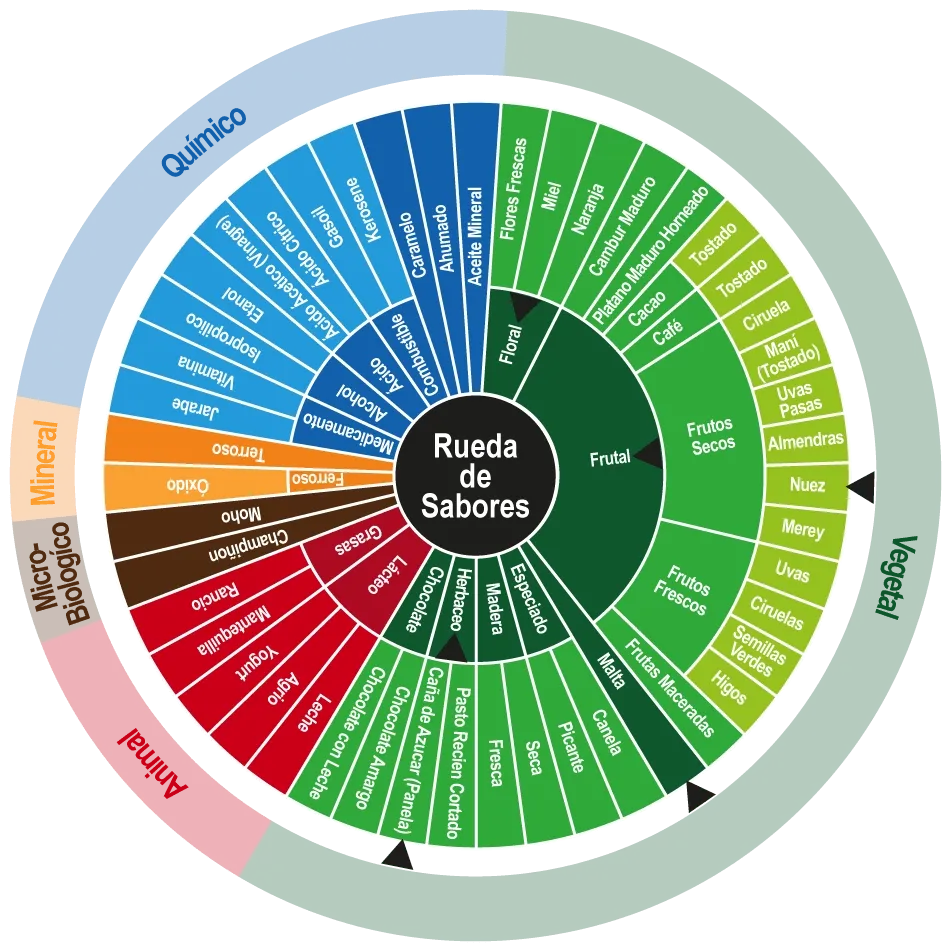 Cocoa Flavor Wheel